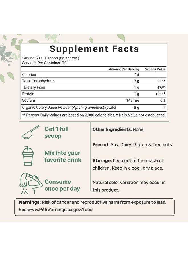 Micro Ingredients مسحوق الكرفس العضوي لتنظيف الدم - Image 2